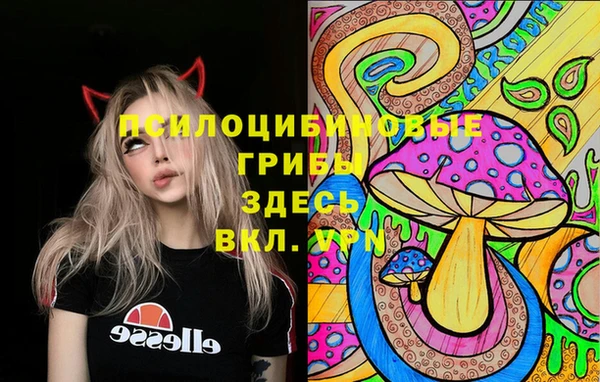 прущий лед Наволоки